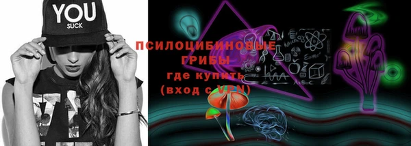 спайс Гусиноозёрск