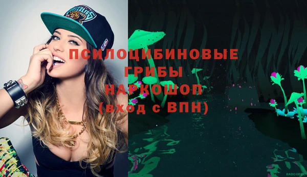 амфетамин Гусь-Хрустальный