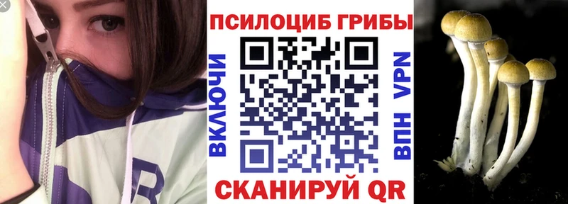 Псилоцибиновые грибы прущие грибы  blacksprut ТОР  Железноводск 